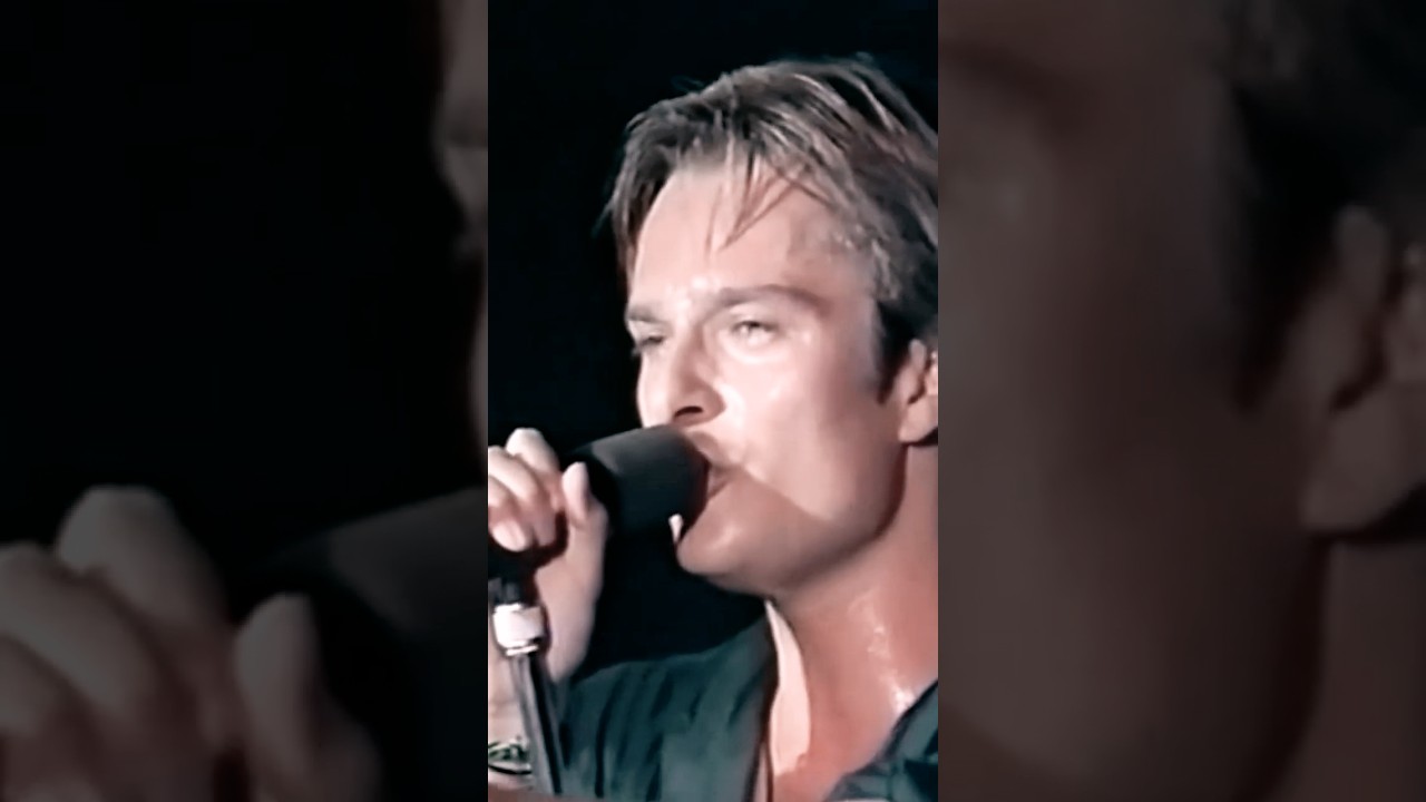 🔥 À DÉCOUVRIR SUR NOTRE CHAÎNE DÉDIÉE À #davidhallyday 🔥