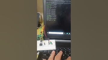 라즈베리파이 디바이스 드라이버 led 불켜기