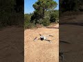 DJI Lito X1 — primer vuelo sin miedo.