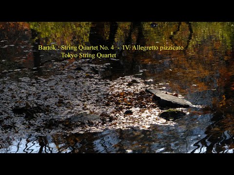 Bartok : String Quartet No. 4  -  IV. Allegretto pizzicato