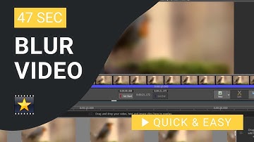 VideoPad Tutorial: How to Blur in VideoPad