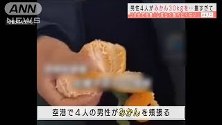 空港で男性4人がみかん30キロを・・・出発迫るなか完食(2021年2月1日)