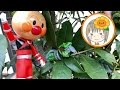 ❤ひまわりおねえさん❤アンパンレッド おもちゃ キュウレンオー キュウボイジャーを探せ お外