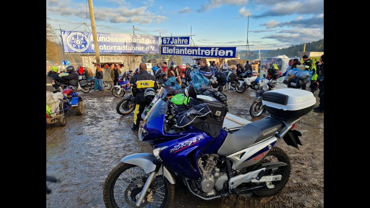 Elefantentreffen im Bayerischen Wald  Januar 2025