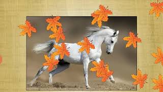 Horse jigsaw Puzzles game-for kids and adults screenshot 2