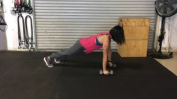 Push-Up Plank Rows