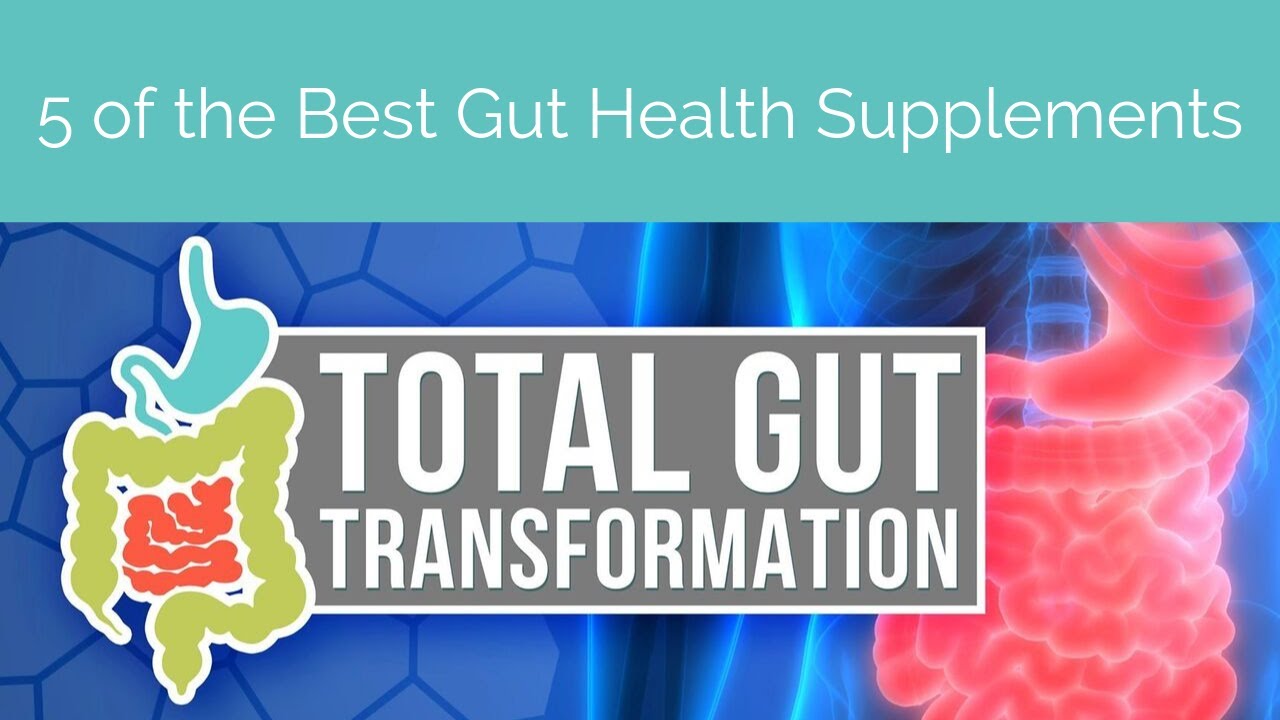 5 of the Best Gut Health Supplements YouTube