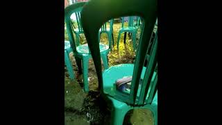 Teman Sejati  Bersama Qosidah Putri Annisa Group