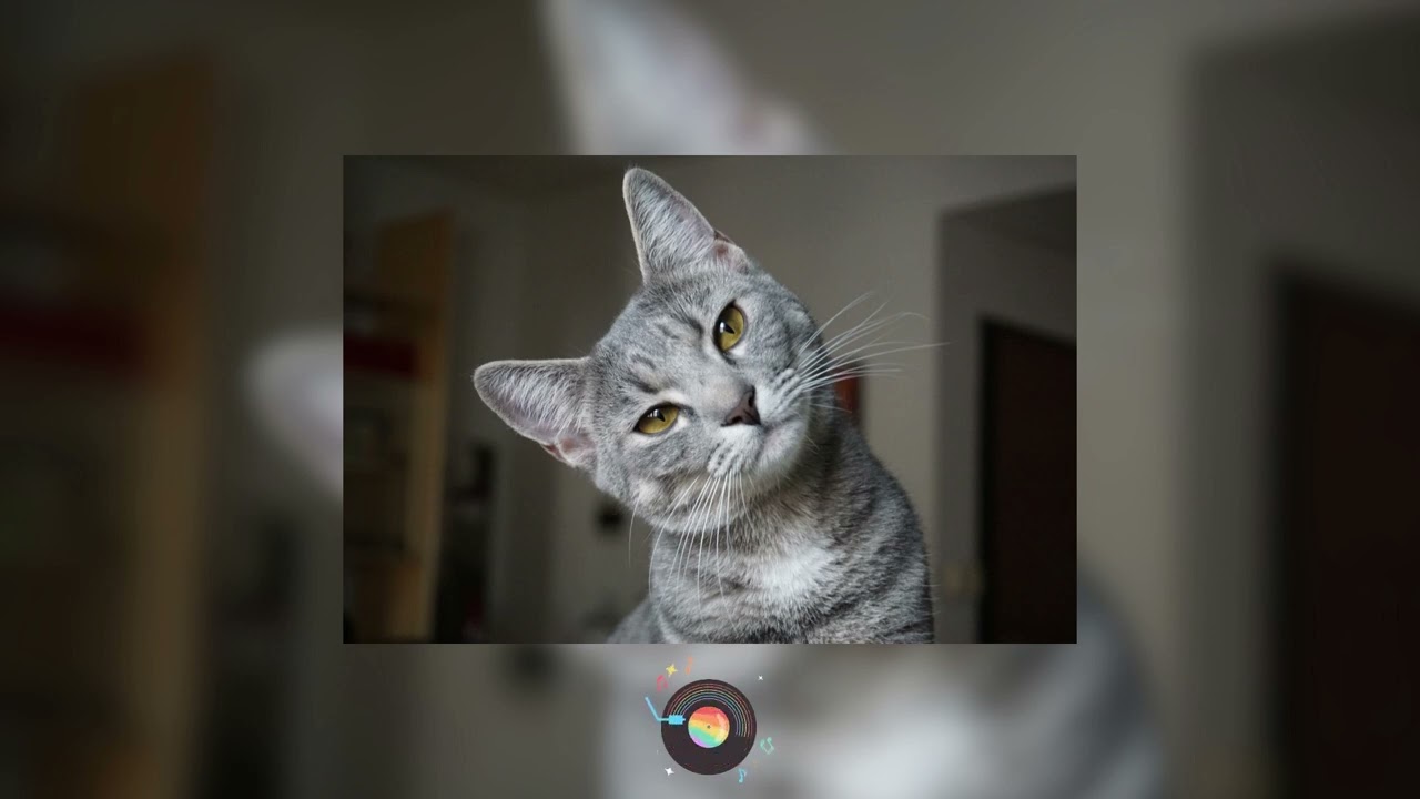 Charlie Puth - Empty Cups (sped up)