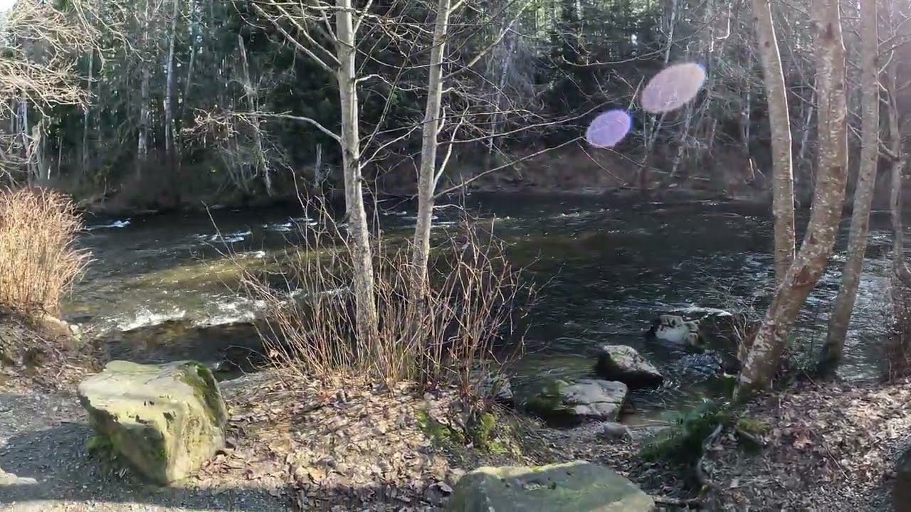 Beautiful Quinsam Campsite,  for only $11.00/night in Campbell River. Canada 🇨🇦