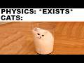 Cat Memes That Make No Sense