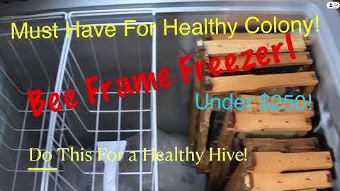 Beekeeping | Freezer Review for Frames!  Must Have for Under $250!