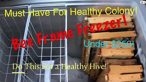 Beekeeping | Freezer Review for Frames!  Must Have for Under $250!