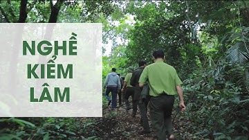 Nghề kiểm lâm