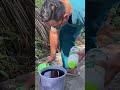 Tưới tuyến trùng cho cây #tuyentrung #xuhuongyoutube
