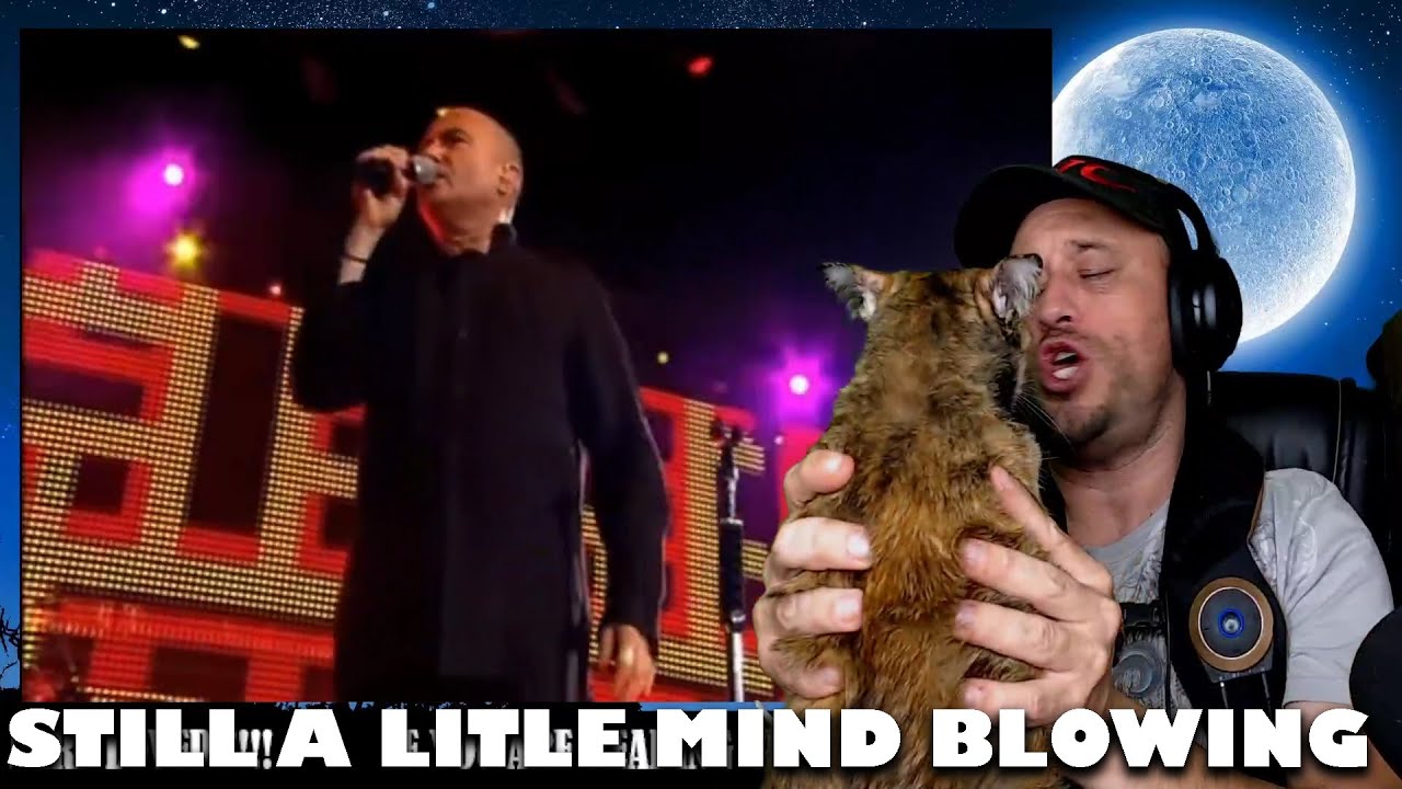 Phil Collins Drums, Drums & More Drumsu Reaction! YouTube