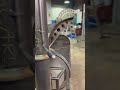80 gallon on a castor package. Check it out! #bbq #welding #automobile #farming #bbqmeat