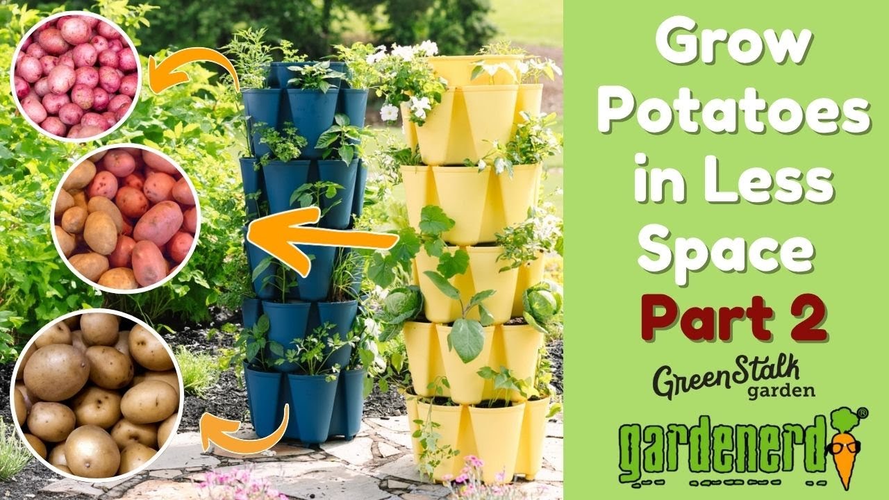 How to Grow Potatoes in Planters: Easy Steps for a Bountiful Harvest