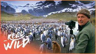 ART WOLFE FINDS ALASKA & ANTARCTICA'S UNTOUCHED WILDLIFE