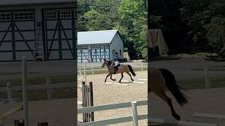 Grid work without stirrups 😍 #horse #horseenthusiast #equestrian #horselover #val #horseriding