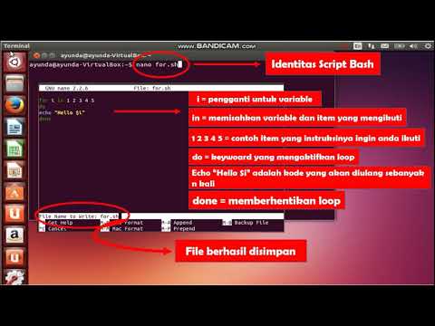 Belajar Dasar Script Bash Metode For dan I/O Ubuntu