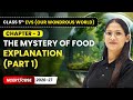The Mystery of Food - Explanation (Part 1) | Class 5th EVS (Our Wondrous World) | Ch 3 | CBSE 2025