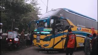 Cinematic Bus Permata Dewi||Story Wa Bus‼️
