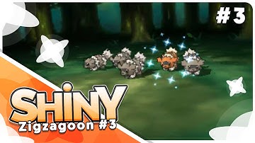 [Live] Shiny Zigzagoon #3 at only 31 Horde Encounters!