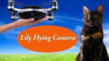 Lily flying camera drone preview