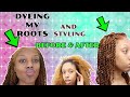 DYEING My Roots | Bleaching My Curly Hair | How To TOUCH UP Your Roots at Home BEFORE &amp; AFTER