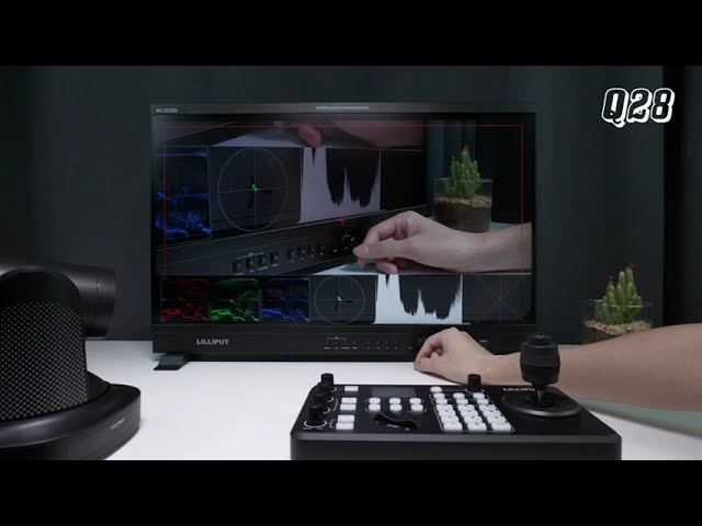 28" Directors Monitor