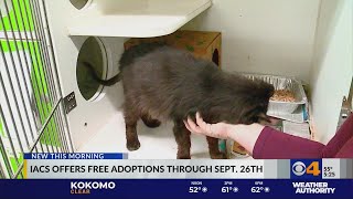 Indianapolis Animal Care Services offers free adoptions