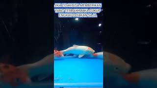 Download Lagu berikan yang terbaik #shorts _ #status _#short MP3 Download Lagu berikan yang terbaik #shorts _ #status _#short MP3
