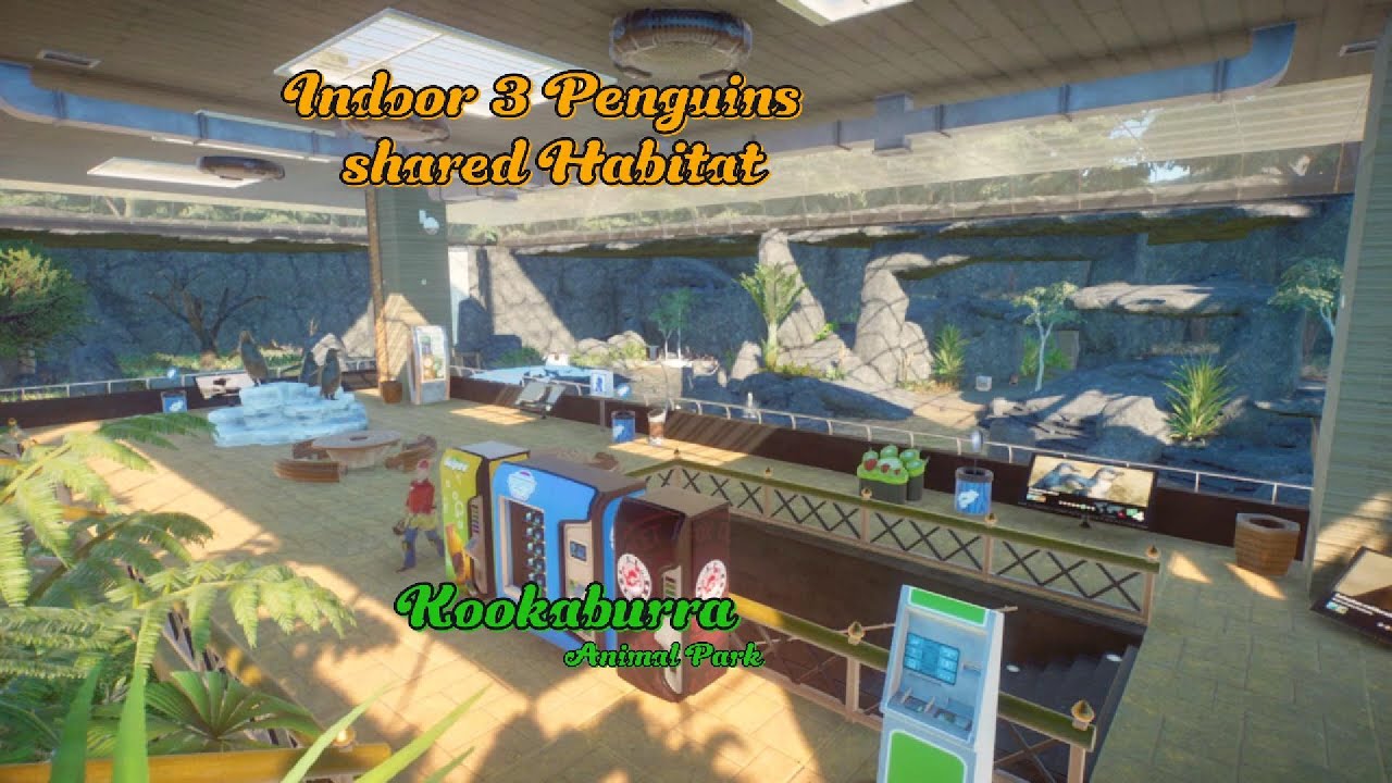Indoor 3 Penguins shared habitat - aQua World - Kookaburra Animal