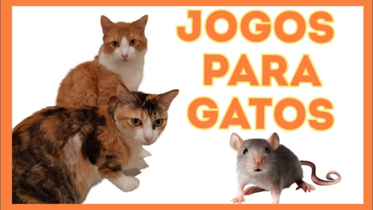 Jogos Do Gato Do Gengibre Com Um Rato Imagem de Stock - Imagem de