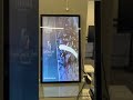Video Image
