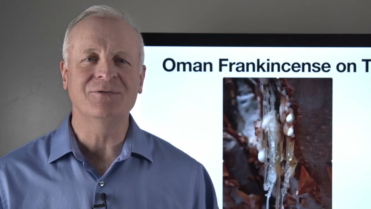 GC-MS 1:   Understanding GC-MS Analysis of Essential Oils