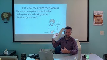 Mr. Webb 3/27 Lecture - Endocrine System