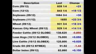 GrainTV - August 10th, Report Day