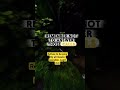 Don't be poor #motivationalvideo #believeinyourself #selfimprovement