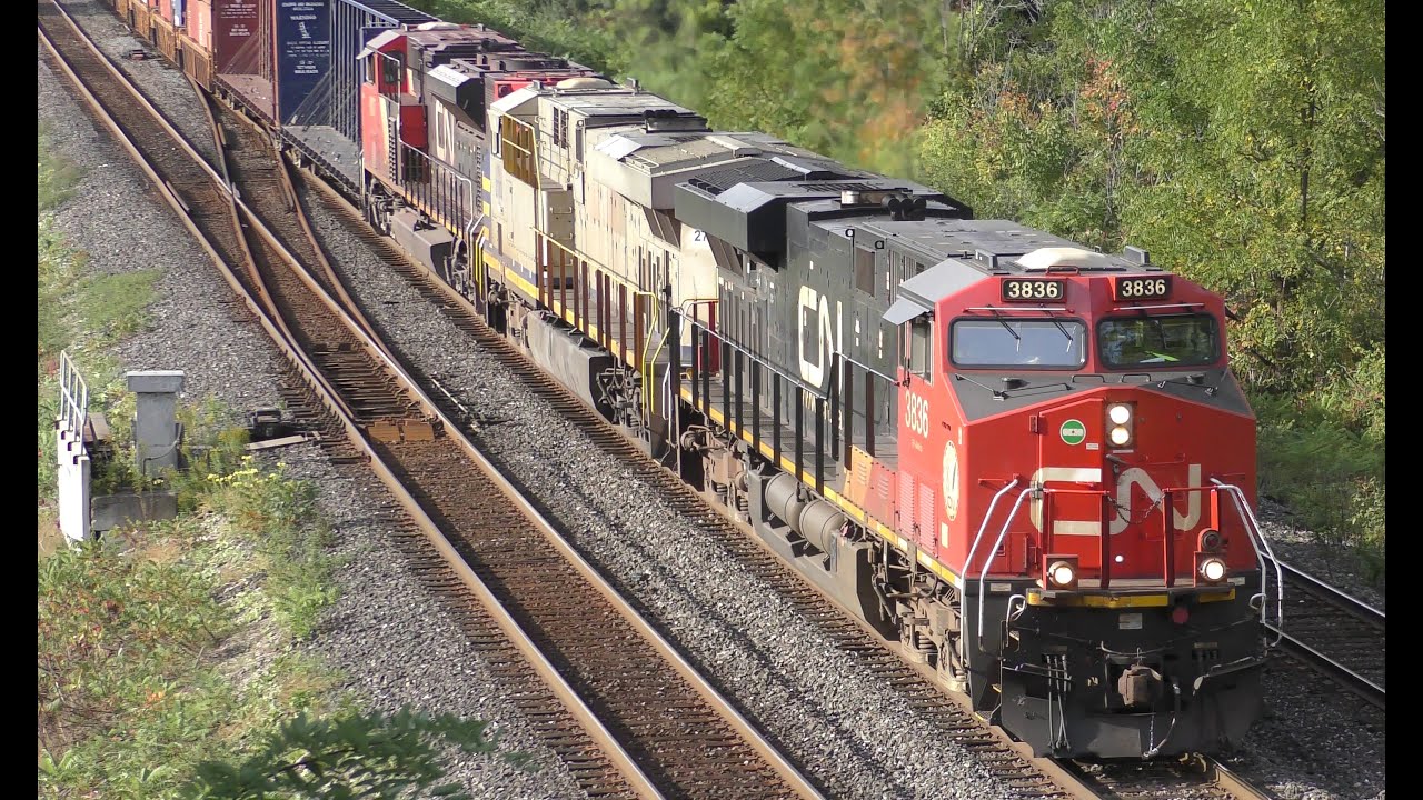 Bayview Junction in 4k video 2024 09 26 CN/CP/VIA/Amtrak/GO