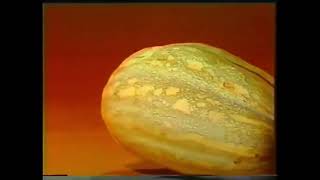 Doña Xepa, Rede Globo 1977