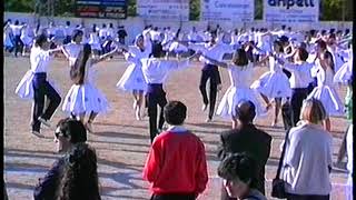 Violetes Del Bosc Sebastià Alba