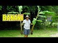 Banana plant installation by simply bananas