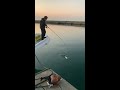 陸っぱりで初めてシーバスが釣れた時の動画