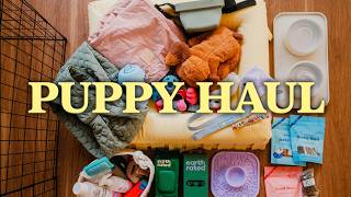 Mini Poodle Puppy Haul: Everything I Bought Before Getting My Puppy