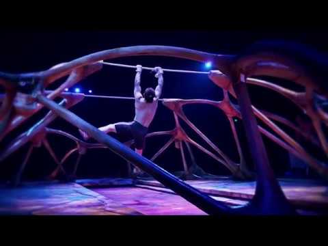 5 Lecciones Profesionales Realmente Útiles Que Aprendí Como Artista De Circo