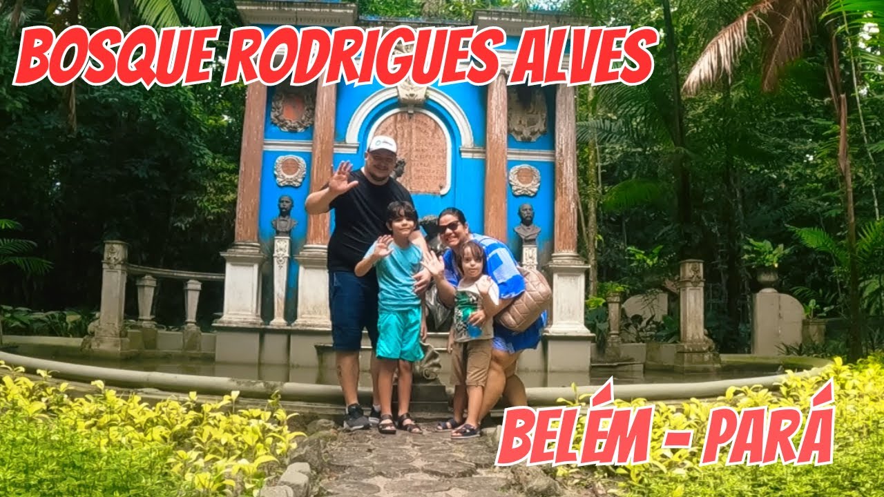 bosque-rodriges-alves-bel-m-explorando-a-natureza-amaz-nica-youtube