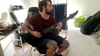 ABORTED - VERMICULAR OBSCENE OBESE GUITAR COVER
