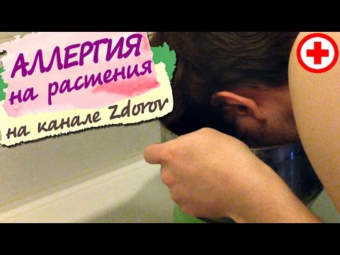 КАК ИЗБАВИТЬСЯ ОТ АЛЛЕРГИИ БЕЗ ЛЕКАРСТВ ✚ ЗДОРОВ!